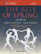 The Rite of Spring Flute Solo cover